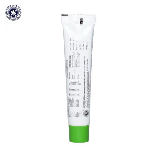 Vibha Ointment (Kottkkal) 25g